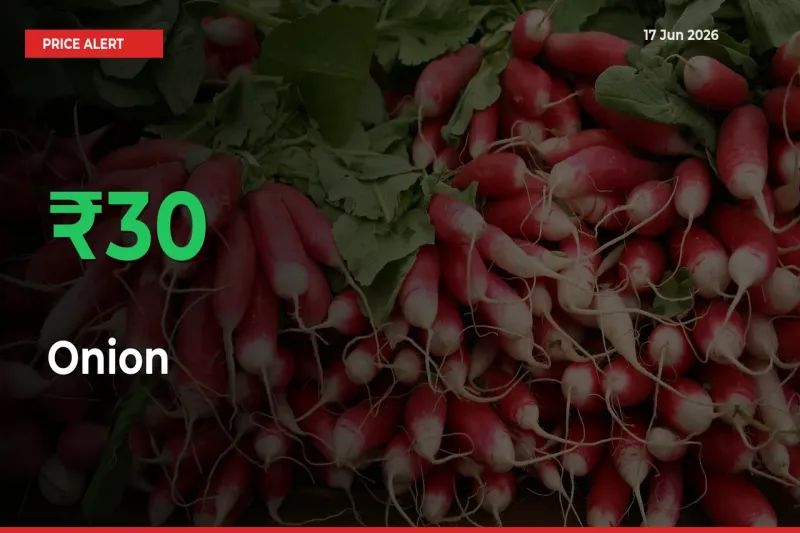 Farmers Cheer as Onion Prices Surge 29.7% in Local Mandis
