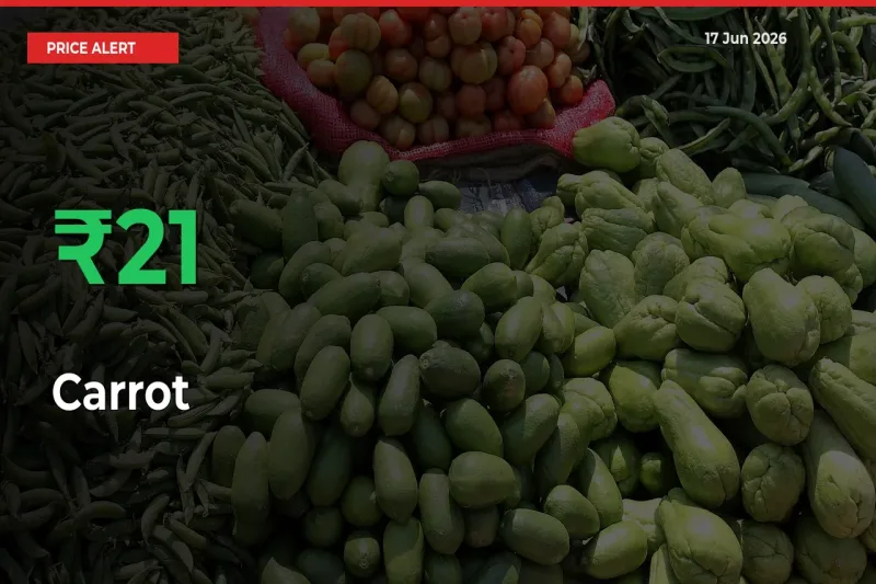 Sudden 20.89% Rally in Carrot Prices Across Mandis