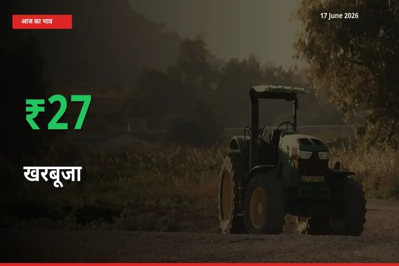 स्थानीय मंडी में खरबूजा के दाम अचानक 26.61% उछले, किसान सतर्क