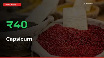Sudden 40.25% Rally in Capsicum Prices Across Mandis