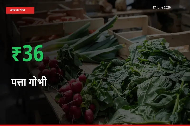 स्थानीय मंडी में पत्ता गोभी के दाम अचानक 36.48% उछले, किसान सतर्क
