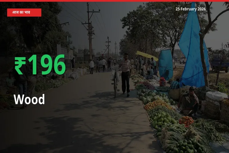 अचानक तेजी! मंडी में Wood के दाम 196.42% चढ़े
