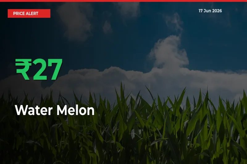 Water Melon Rises 27.13% at Mandis