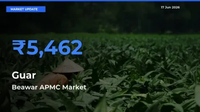 Beawar APMC Emerges as Top Mandi for Guar Prices Today