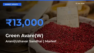 Top Performer! Arani(Uzhavar Sandhai ) Offers Best Green Avare(W) Price Today