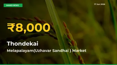 Farmers Benefit as Thondekai Rate Touches New High in Melapalayam(Uzhavar Sandhai )