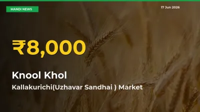 Why Knool Khol Prices Are Climbing in Kallakurichi(Uzhavar Sandhai ) – Today’s New High Explained