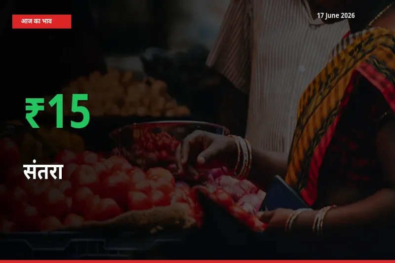 तेज़ तेजी! मंडी में संतरा के दाम 15.22% चढ़े