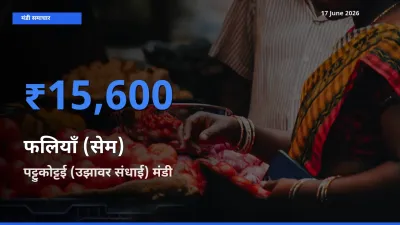 आज फलियाँ (सेम) के सबसे ज़्यादा दाम पट्टुकोट्टई (उझावर संधाई) मंडी में दर्ज