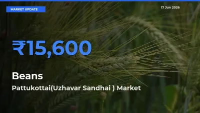 Pattukottai(Uzhavar Sandhai ) Offers ₹15,600 – Highest Beans Rate Today