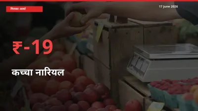 कच्चा नारियल 18.57% गिरा, मंडी