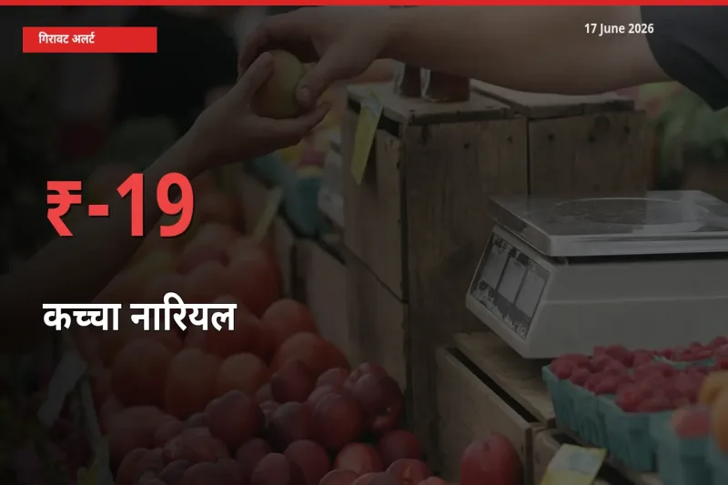 कच्चा नारियल 18.57% गिरा, मंडी