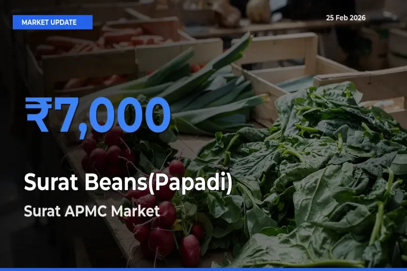 Surat APMC Emerges as Top Mandi for Surat Beans(Papadi) Prices Today