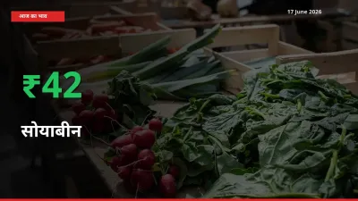 अचानक तेजी! मंडी में सोयाबीन के दाम 42.46% चढ़े