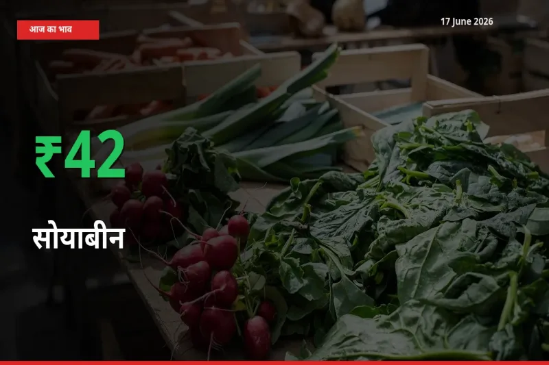 अचानक तेजी! मंडी में सोयाबीन के दाम 42.46% चढ़े