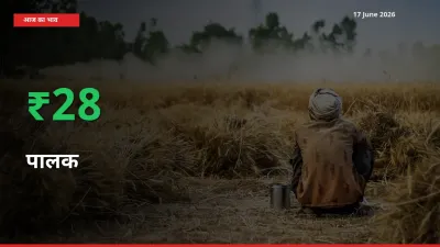 17 June अपडेट: पालक के दाम मंडी में 27.54% उछले