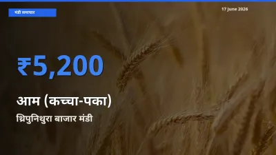 आज आम (कच्चा-पका) के सबसे ऊँचे दाम ₹5,200 थ्रिपुनिथुरा बाजार मंडी में