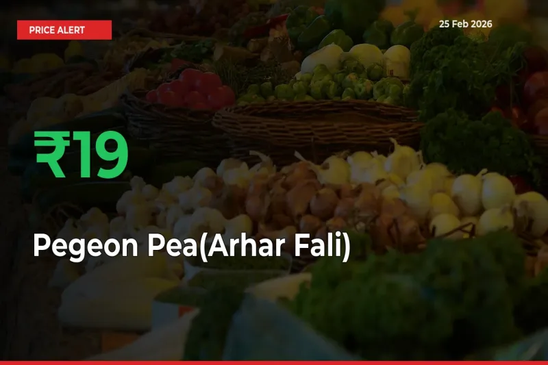 Pegeon Pea(Arhar Fali) Rises 18.9% at Mandis