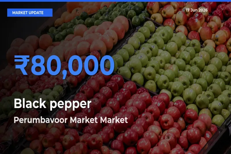 Perumbavoor Market Leads as Top Mandi for Black pepper Prices