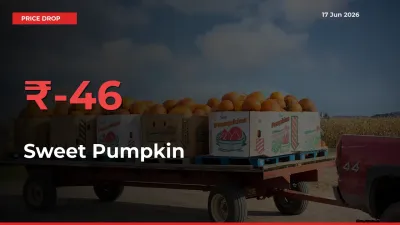 Sudden Shock! Sweet Pumpkin Drops 46.28% in 24 Hours at Top Mandis