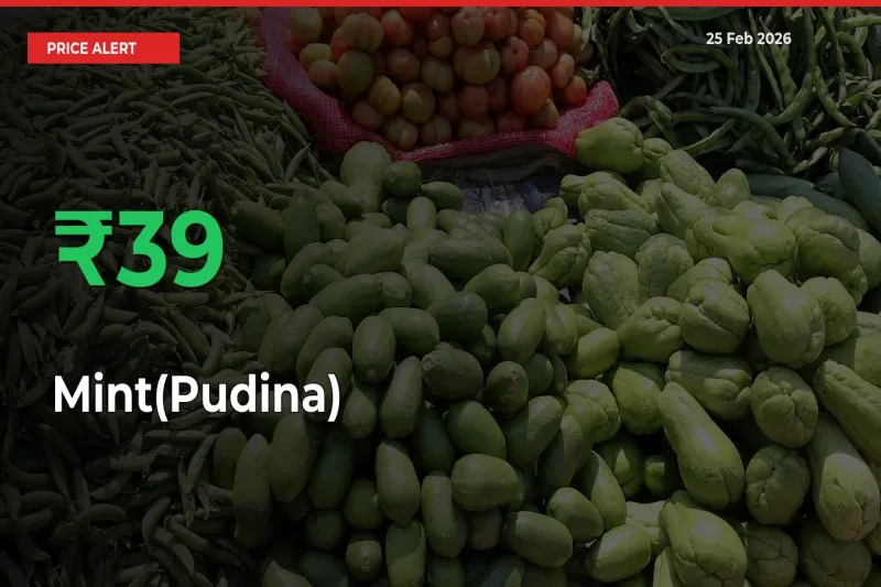 Mint(Pudina) Rises 38.95% at Mandis