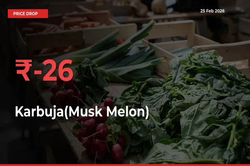 25.86% Drop in Karbuja(Musk Melon) Prices – Mandi Sees Sudden Fall
