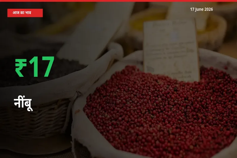 तेज़ तेजी! मंडी में नींबू के दाम 16.88% चढ़े