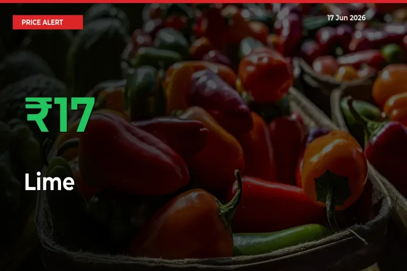 This Mandi Records 16.88% Jump in Lime Prices