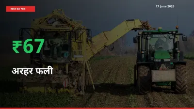 बाज़ार संकेत: अरहर फली के भाव मंडी में 67.1% ऊपर