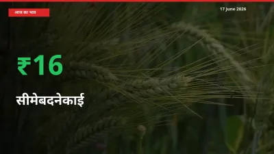 आज का मंडी भाव: सीमेबदनेकाई के दाम मंडी में 16.19% ऊपर