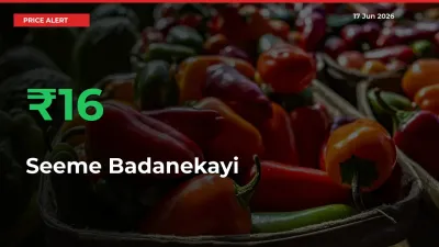 Seeme Badanekayi Rises 16.19% at Mandis