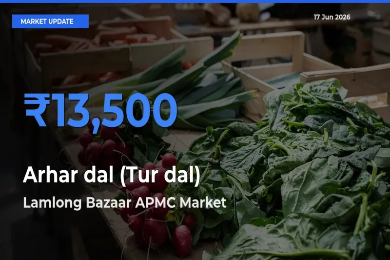 Lamlong Bazaar APMC Tops Arhar dal (Tur dal) Mandi Rates Today