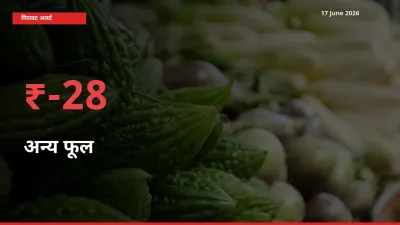 28.08% की गिरावट! मंडी में अन्य फूल के दाम अचानक टूटे