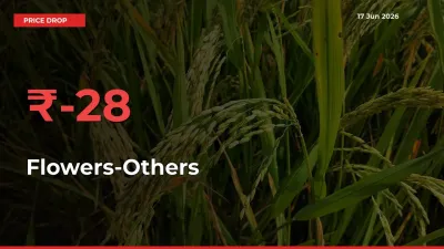 Flowers-Others Falls 28.08% at Mandis