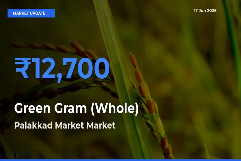 Farmers Prefer Palakkad Market as Green Gram (Whole) Hits Highest Rate