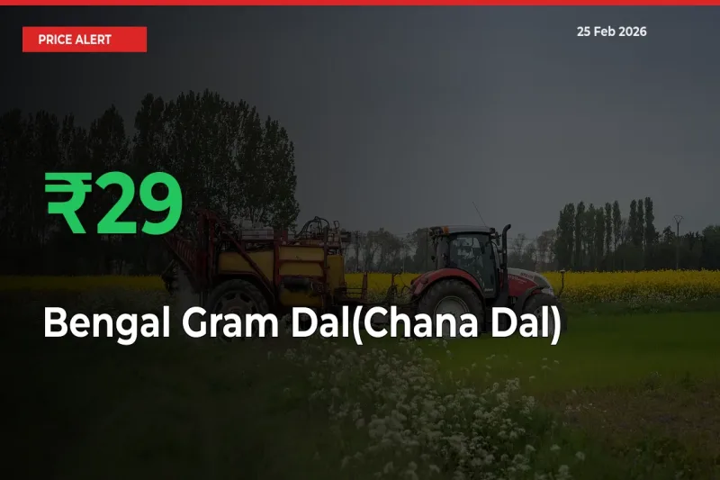 Bengal Gram Dal(Chana Dal) Rises 29.3% at Mandis