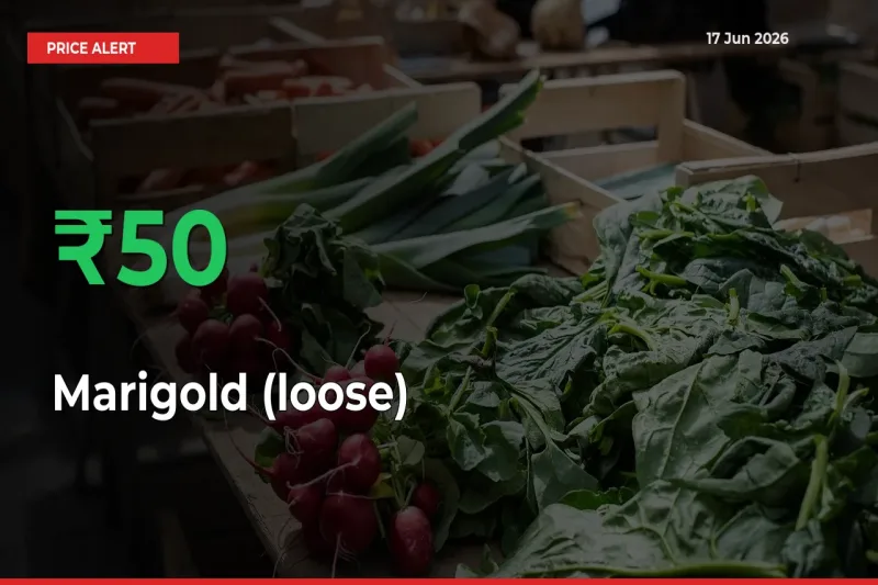 This Mandi Records 50% Jump in Marigold (loose) Prices