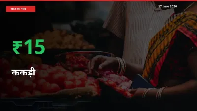 अचानक तेजी! मंडी में ककड़ी के दाम 15.47% चढ़े