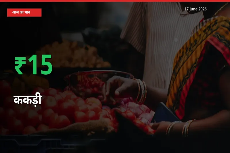 अचानक तेजी! मंडी में ककड़ी के दाम 15.47% चढ़े