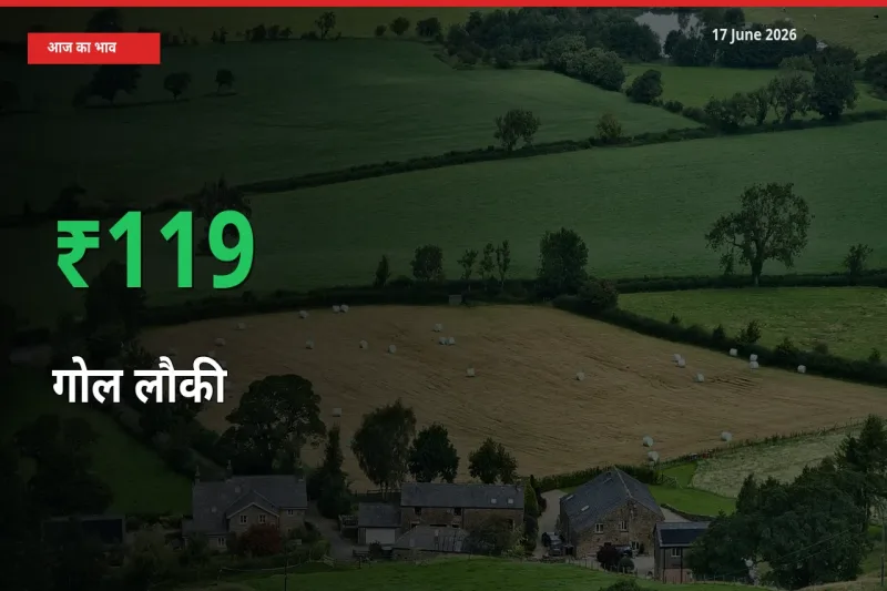 आज का मंडी भाव: गोल लौकी के दाम मंडी में 118.75% ऊपर
