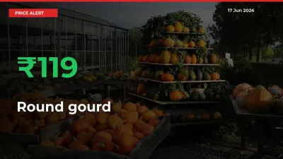 Round gourd Prices Rise 118.75% in a Day at Major Mandis
