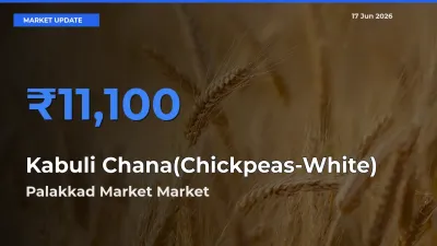 Palakkad Market Leads as Top Mandi for Kabuli Chana(Chickpeas-White) Prices