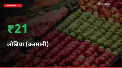 आज का मंडी भाव: लोबिया (करमानी) के दाम मंडी में 21.05% ऊपर