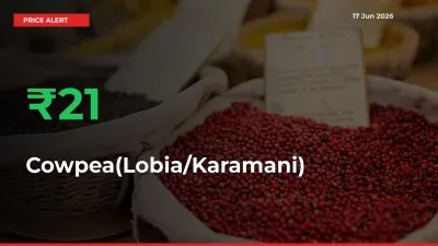 Sudden 21.05% Rally in Cowpea(Lobia/Karamani) Prices Across Mandis
