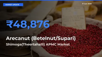 Farmers Prefer Shimoga(Theertahalli) APMC as Arecanut (Betelnut/Supari) Hits Highest Rate