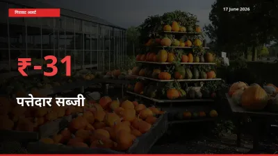 तेज़ गिरावट! मंडी में पत्तेदार सब्जी के दाम 31.48% लुढ़के