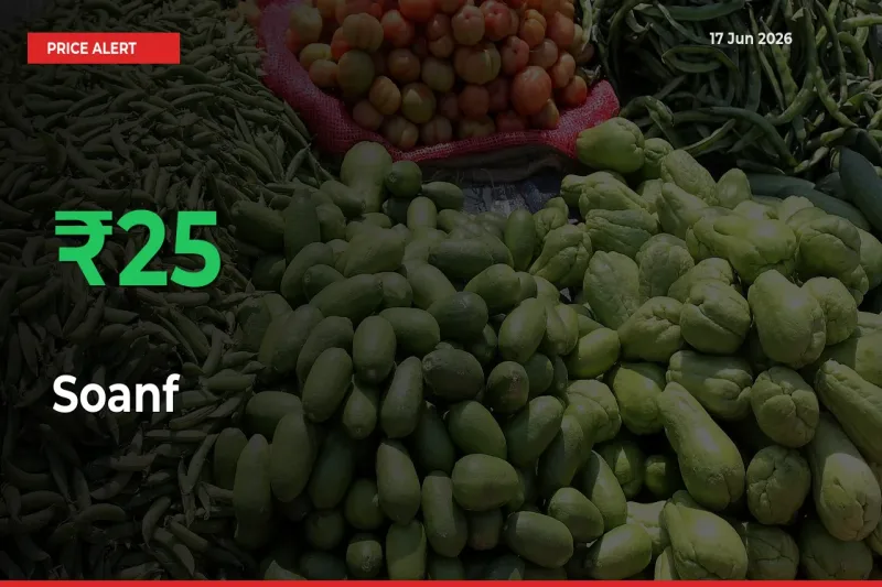 Farmers Cheer as Soanf Prices Surge 24.72% in Local Mandis