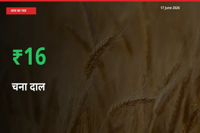 17 June अपडेट: चना दाल के दाम मंडी में 15.99% उछले