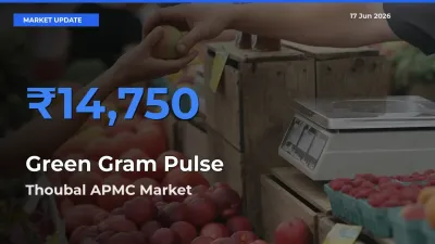 Thoubal APMC Leads as Top Mandi for Green Gram Pulse Prices