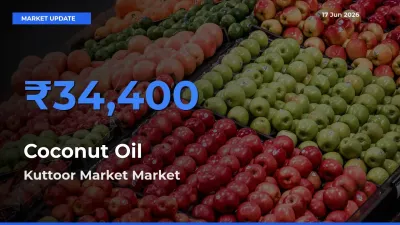 Kuttoor Market Records Highest ₹34,400 Rate for Coconut Oil